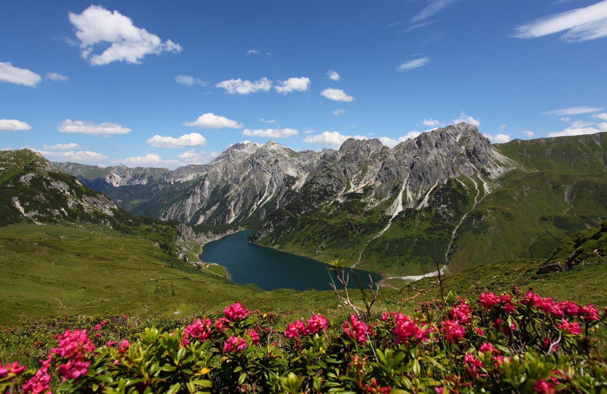 Landhotel Almroesl Im Grossarltal Hüttschlag Dış mekan fotoğraf