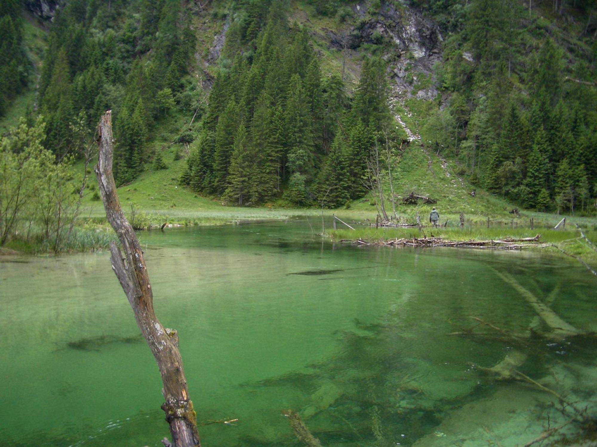 Landhotel Almroesl Im Grossarltal Hüttschlag Dış mekan fotoğraf